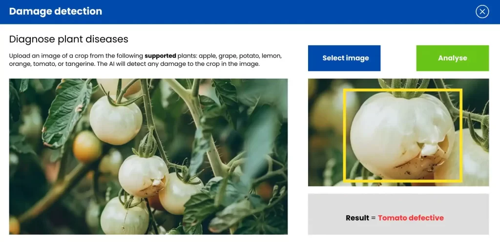Disease detection in plants