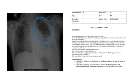 Medical Diagnostics with Multimodal Annotation