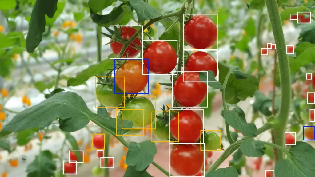 agriculture annotation