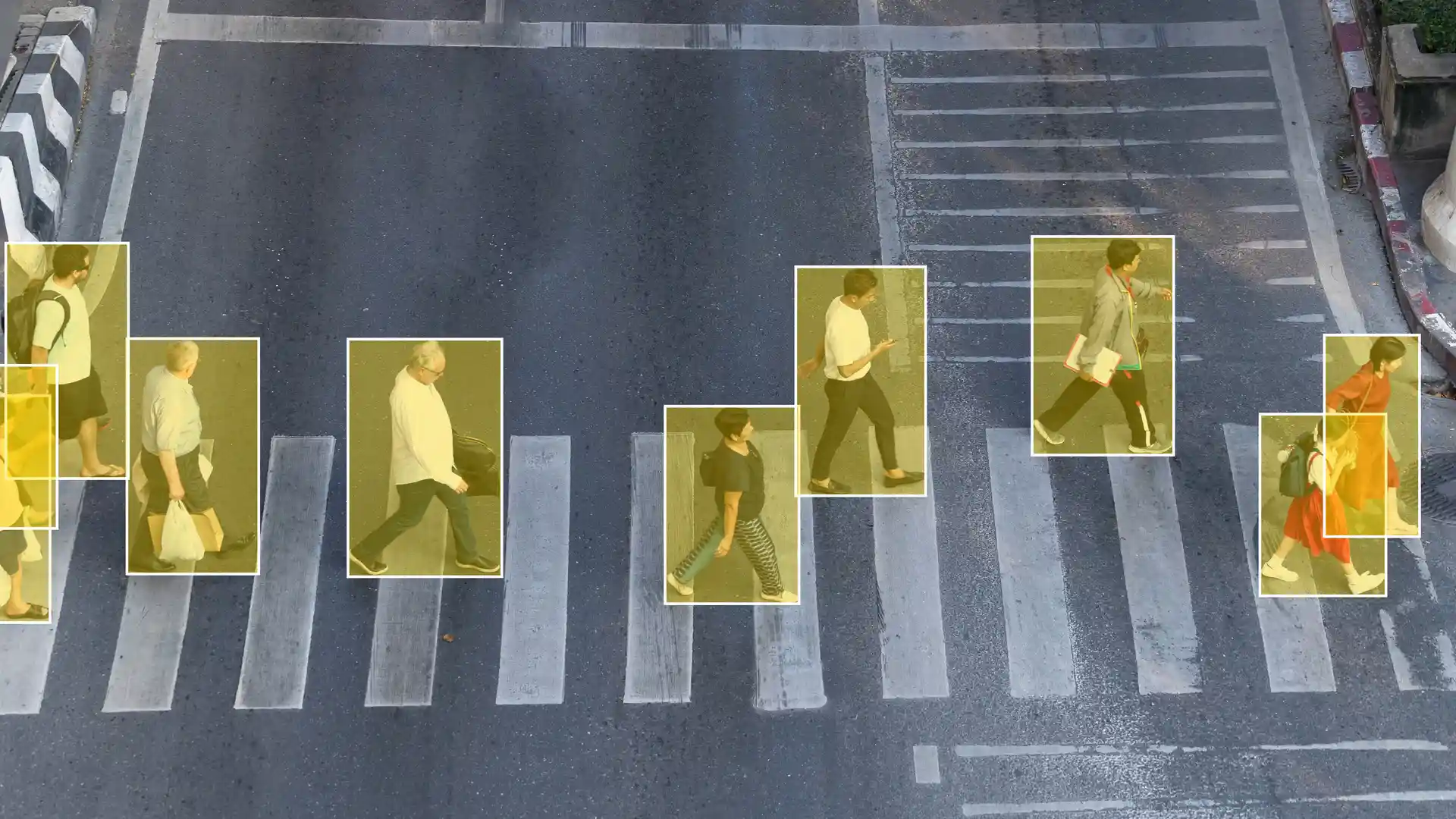 segmentation and annotation