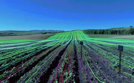 Soil Health and Climate Resilience